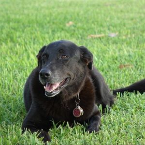 Meet your Posher, Katherine